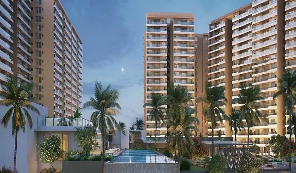 Prestige Evergreen